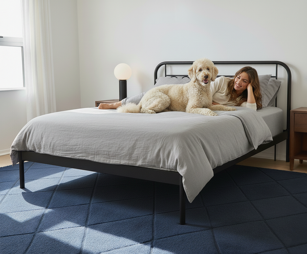 A comfortable easy-clean duvet cover that is designed to keep your mattress safe from pets, on a bed with a dog and a woman cuddling. 